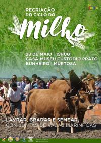 CICLO DO MILHO VAI SER RECRIADO NO BUNHEIRO, 28 maio, 14h30