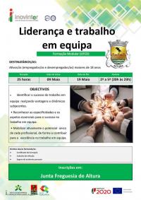 Formao - Liderana e trabalho em equipa