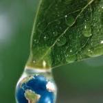 Dia Mundial do Ambiente (4 de Junho)