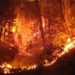 Plano de Defesa da Floresta Contra Incndio 