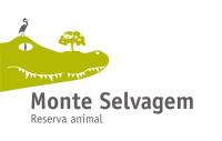 Monte Selvagem