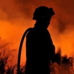  PJ detm suspeito de fogo florestal em Moimenta da Beira