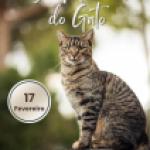 Dia mundial do Gato